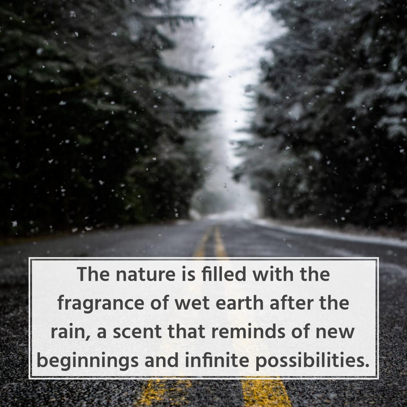 The nature is filled with the fragrance of wet earth after the rain