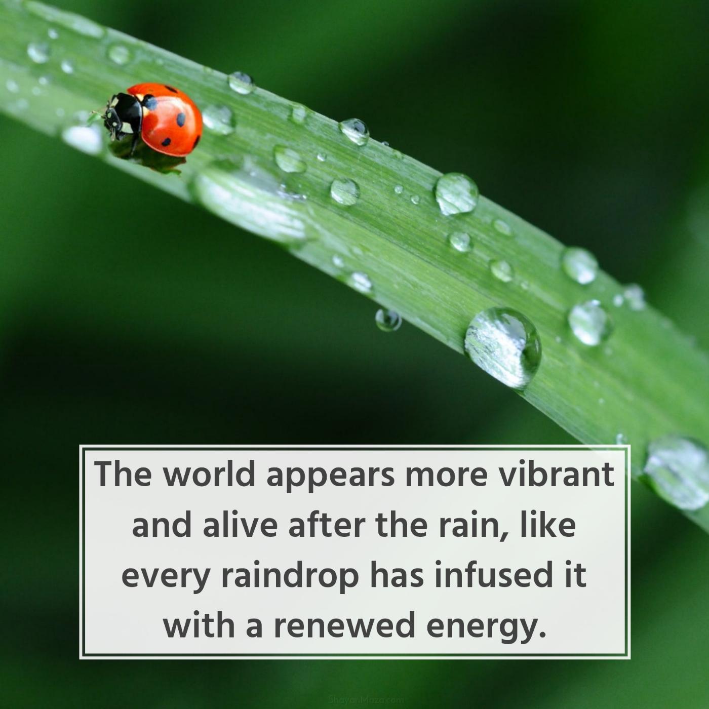 The world appears more vibrant and alive after the rain
