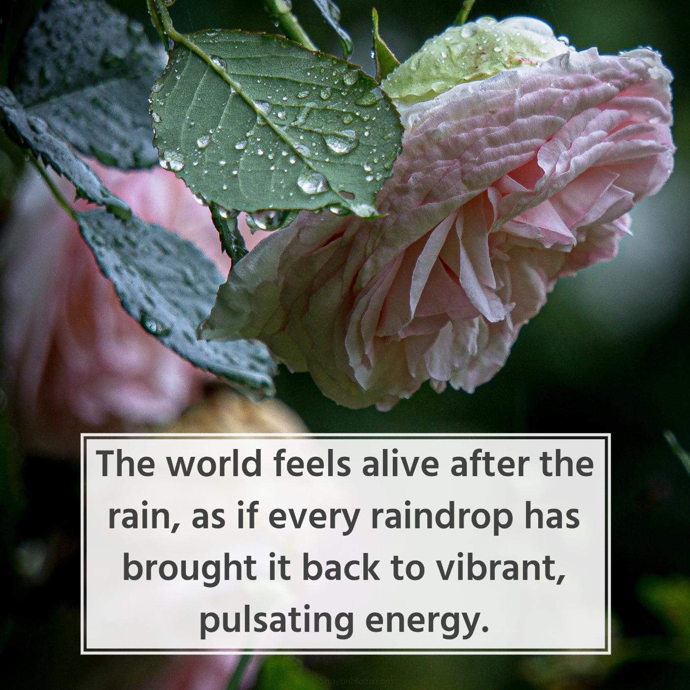 The world feels alive after the rain