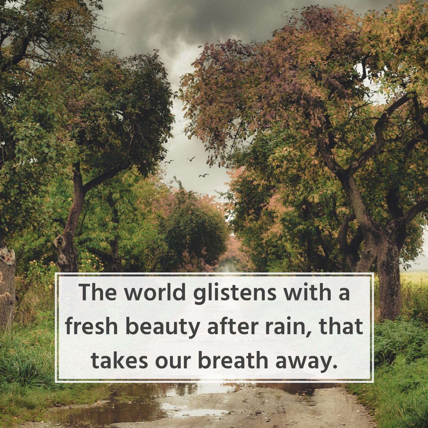 The world glistens with a fresh beauty after rain that takes my breath away