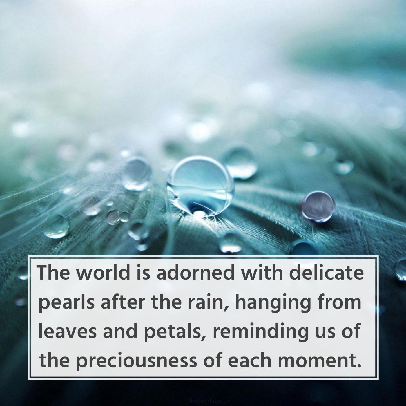 The world is adorned with delicate pearls after the rain