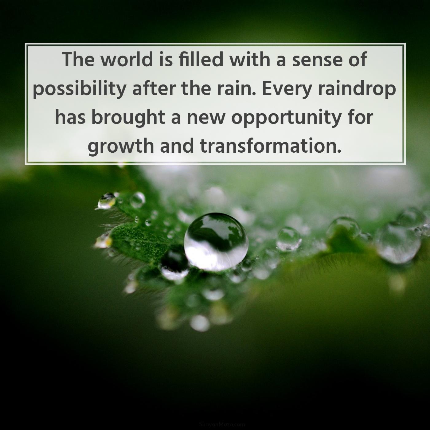 The world is filled with a sense of possibility after the rain