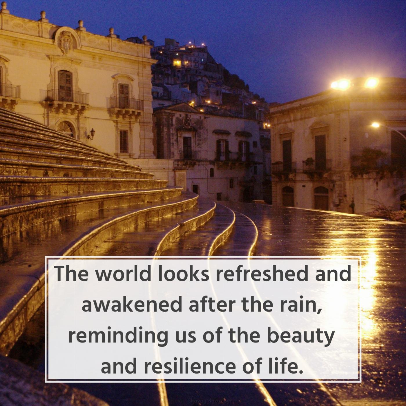 The world looks refreshed and awakened after the rain