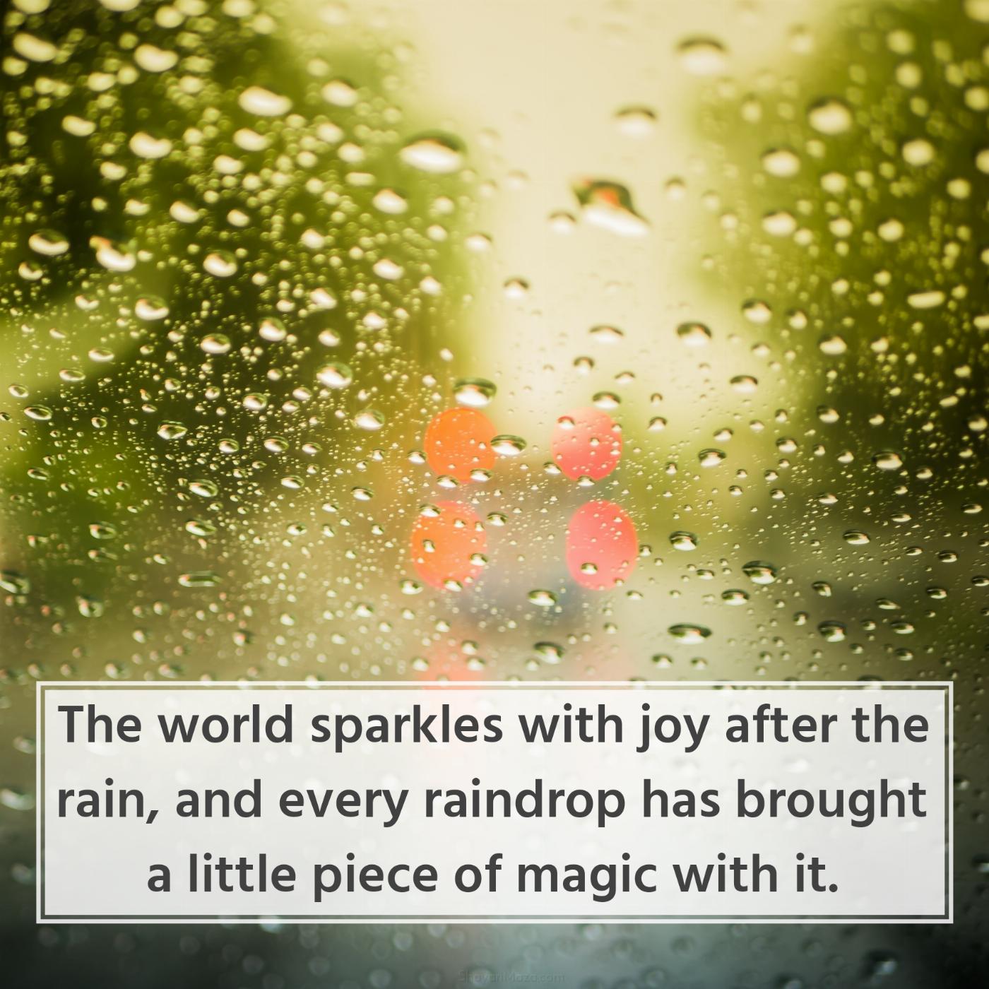 The world sparkles with joy after the rain