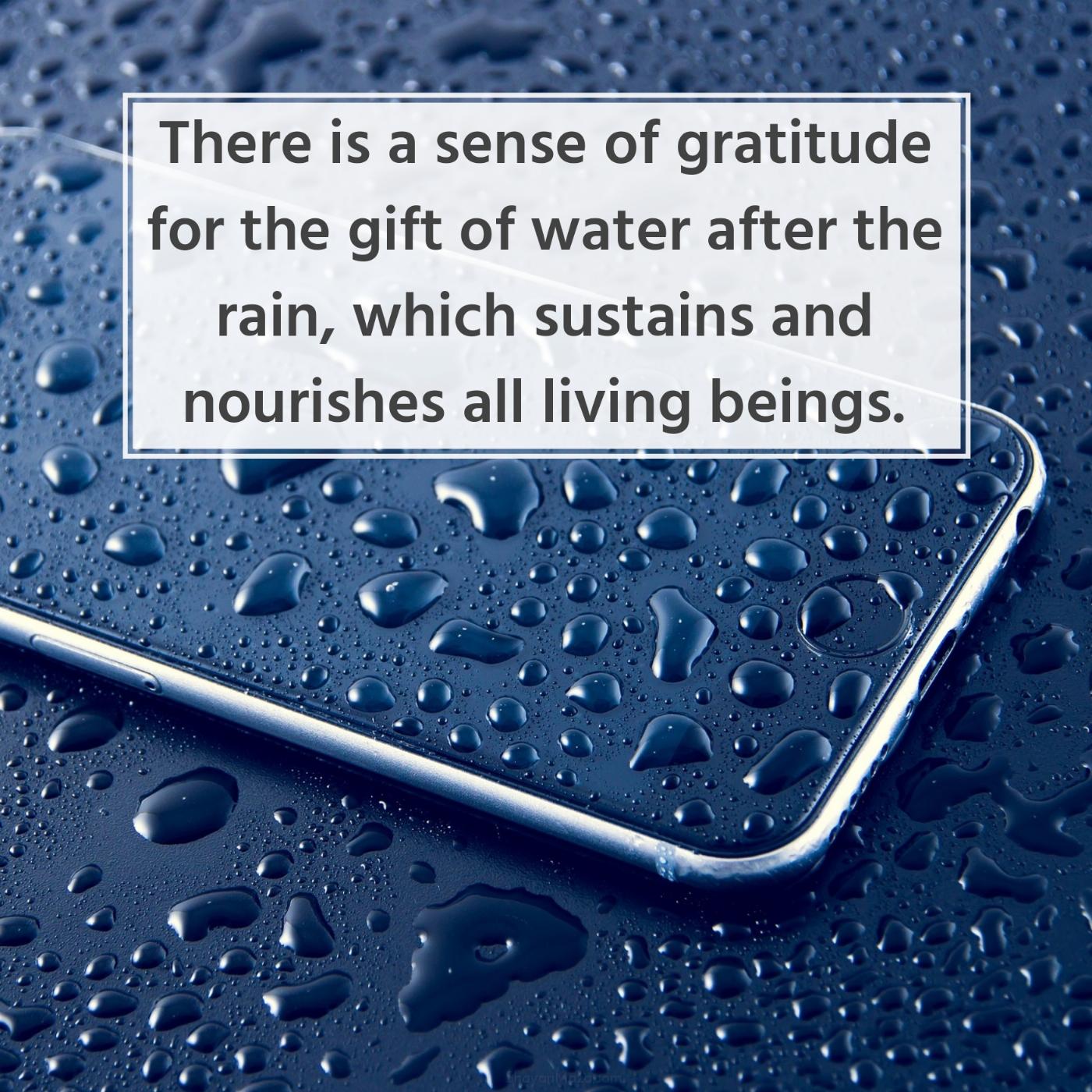 There is a sense of gratitude for the gift of water after the rain