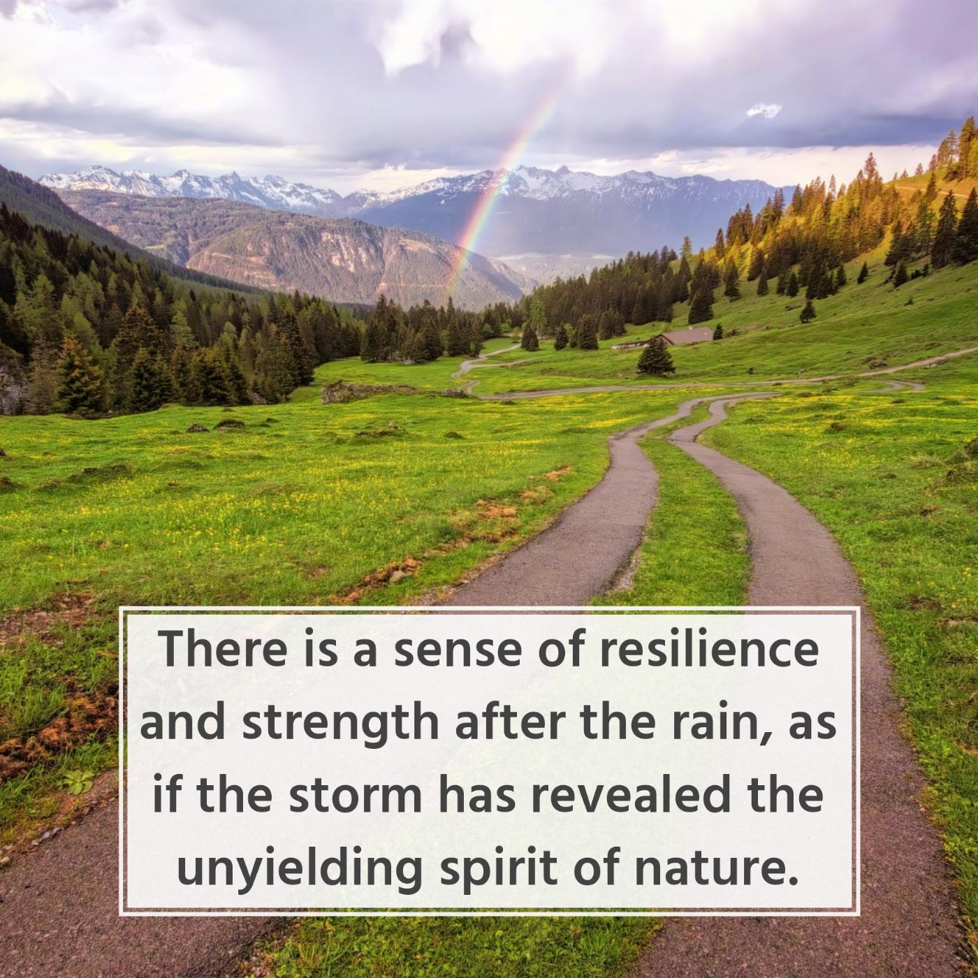 There is a sense of resilience and strength after the rain