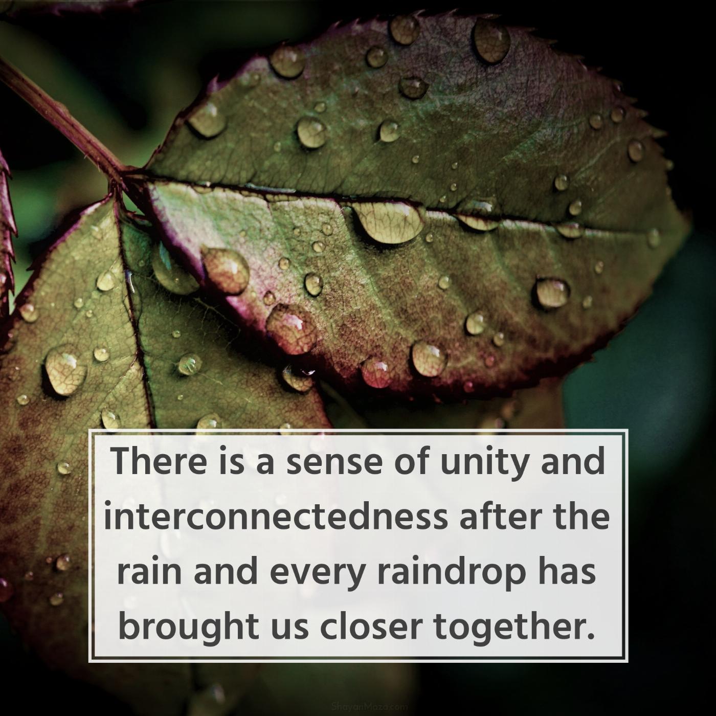 There is a sense of unity and interconnectedness after the rain