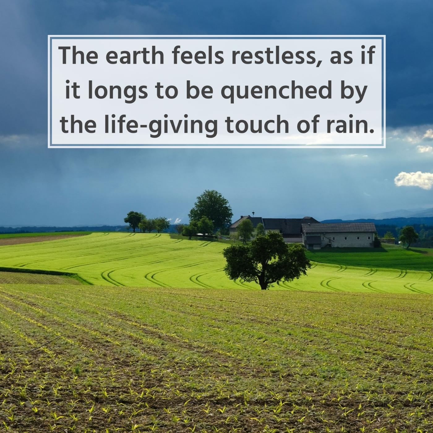 The earth feels restless as if it longs to be quenched