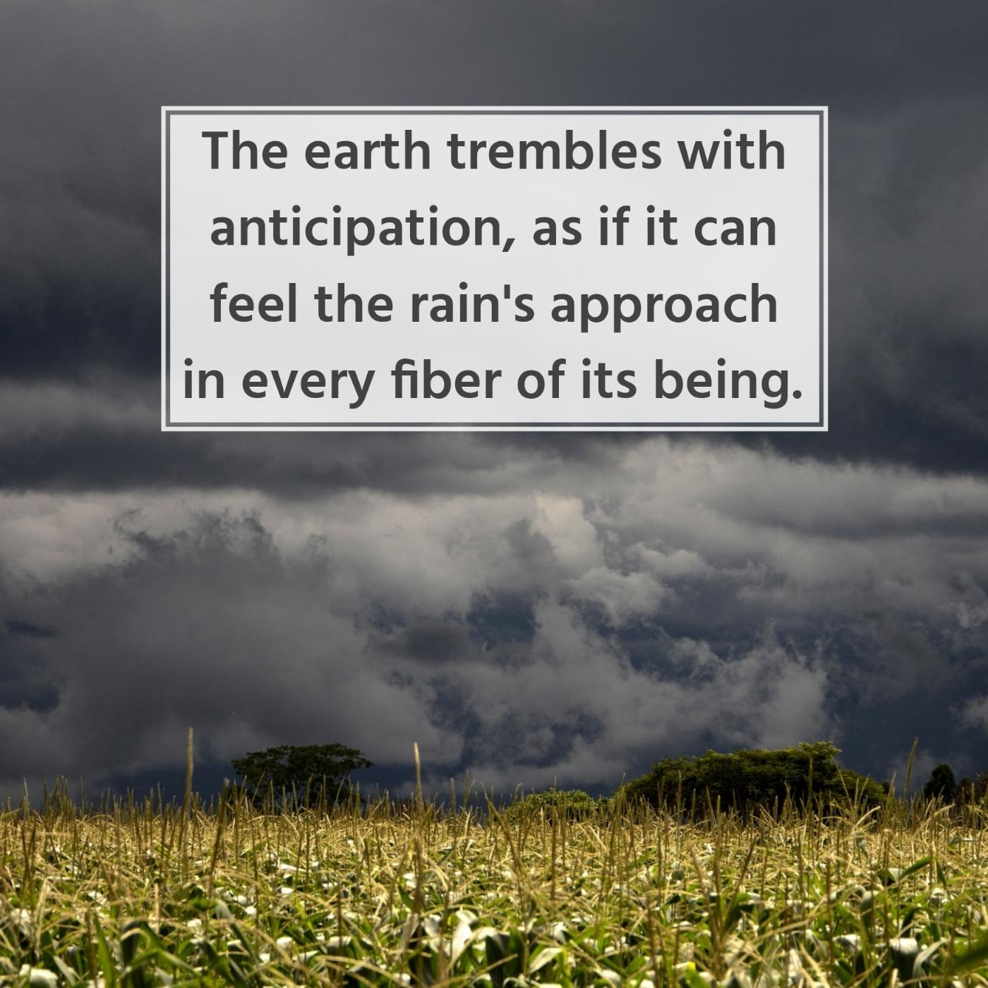 The earth trembles with anticipation as if it can feel the rain's approach