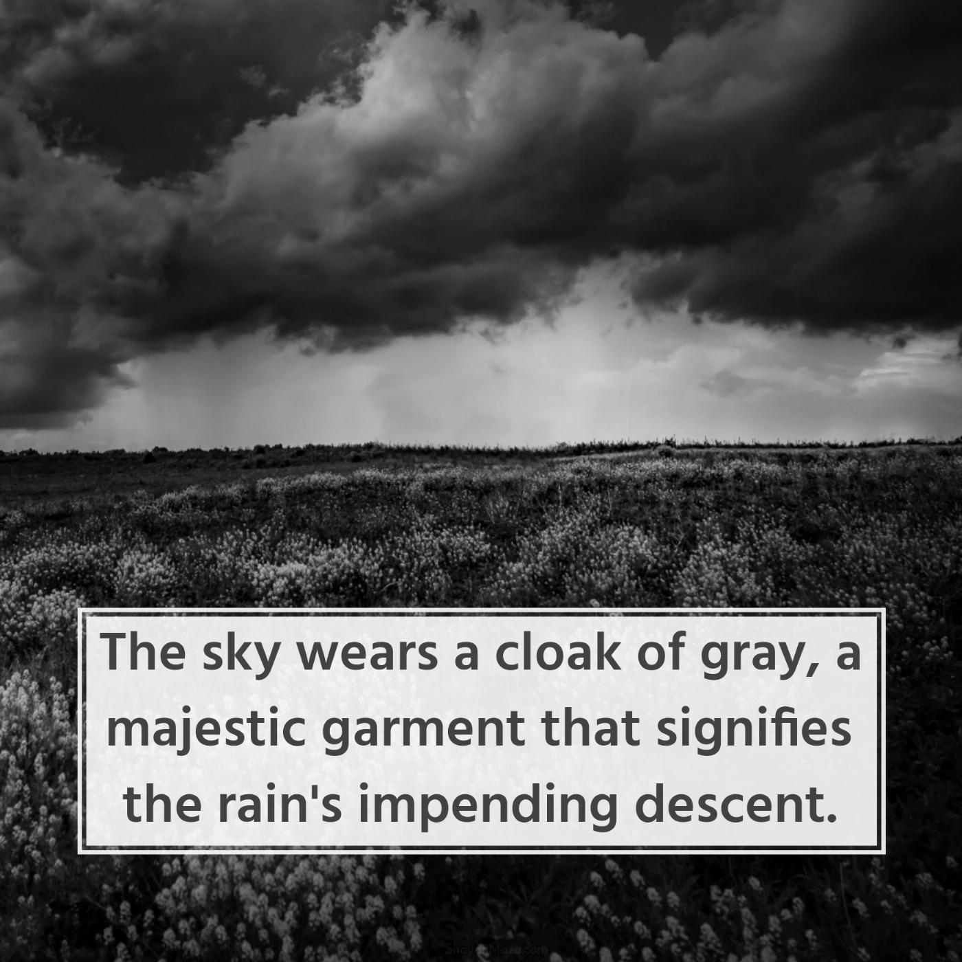 The sky wears a cloak of gray a majestic garment that signifies