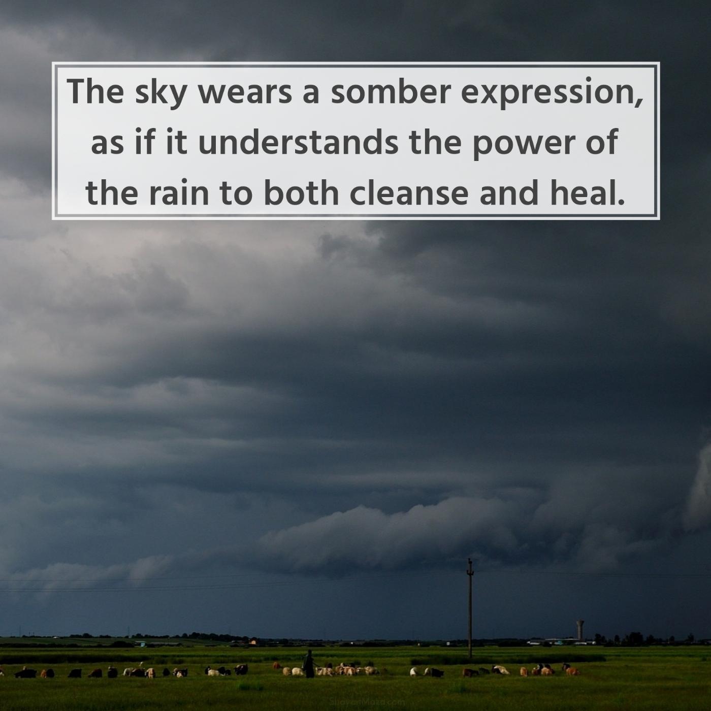 The sky wears a somber expression as if it understands