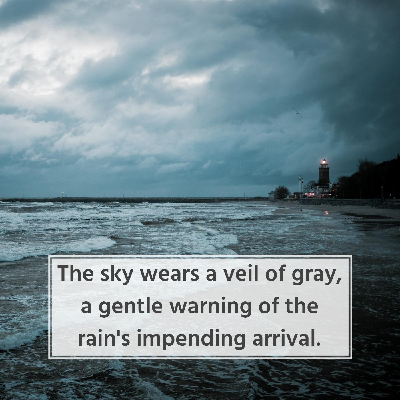 The sky wears a veil of gray a gentle warning of the rain