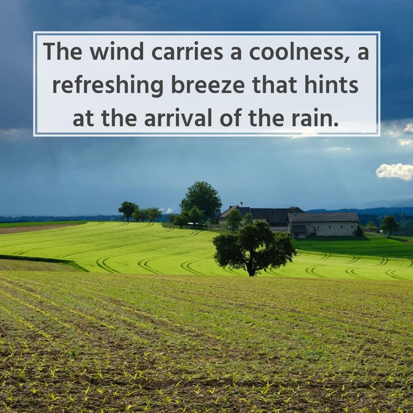 The wind carries a coolness a refreshing breeze