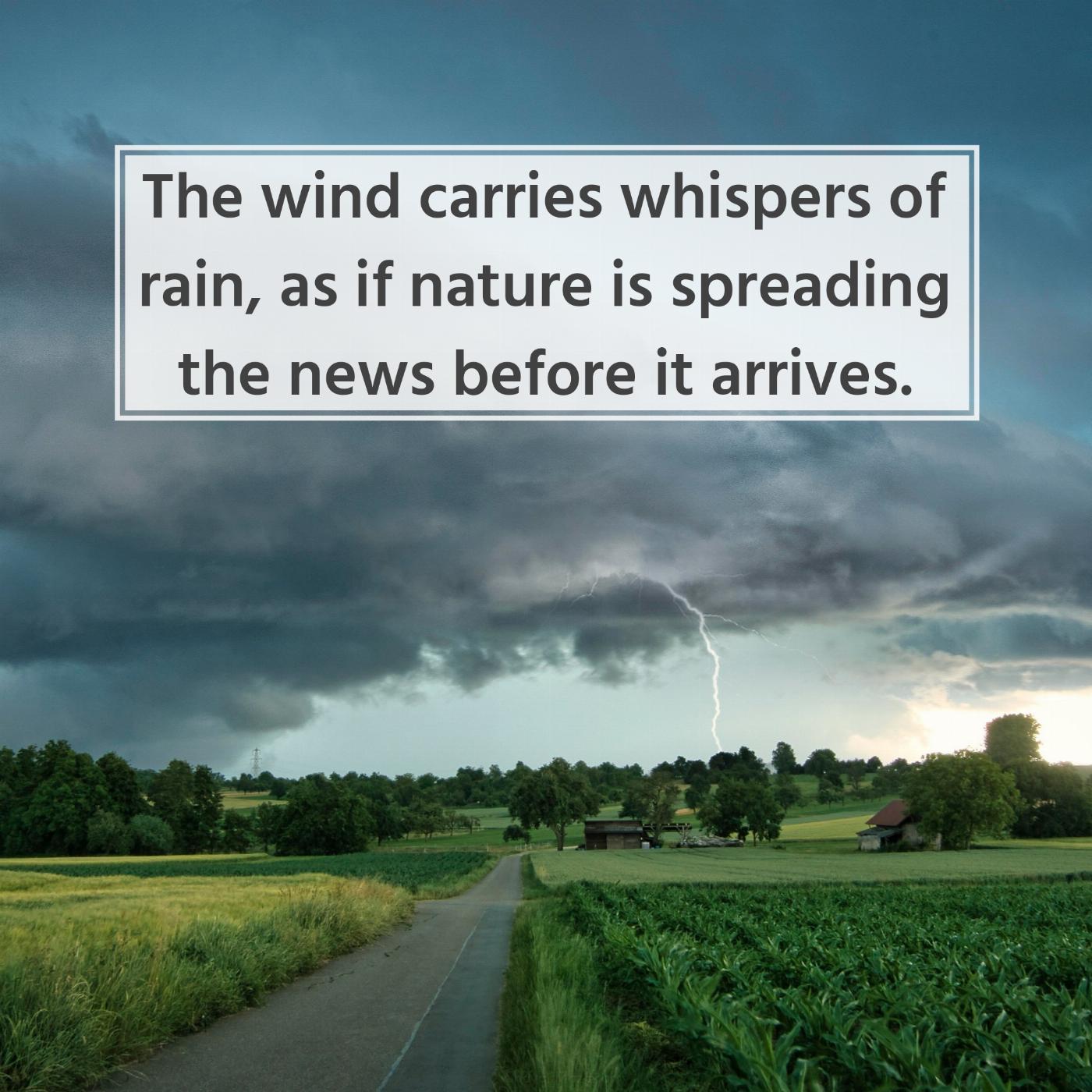 The wind carries whispers of rain as if nature is spreading the news