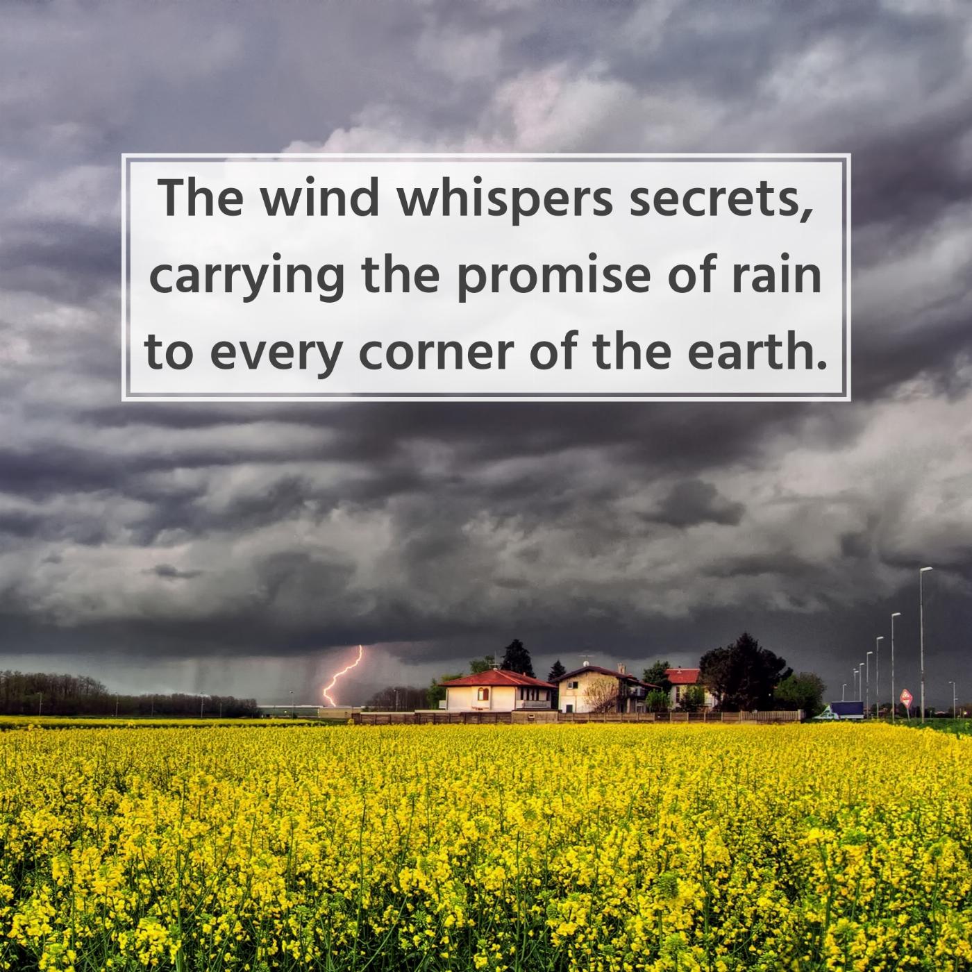 The wind whispers secrets carrying the promise of rain