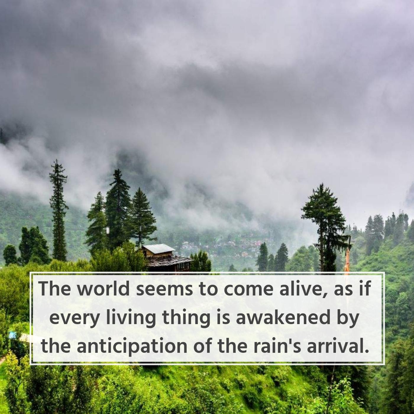 The world seems to come alive as if every living thing is awakened