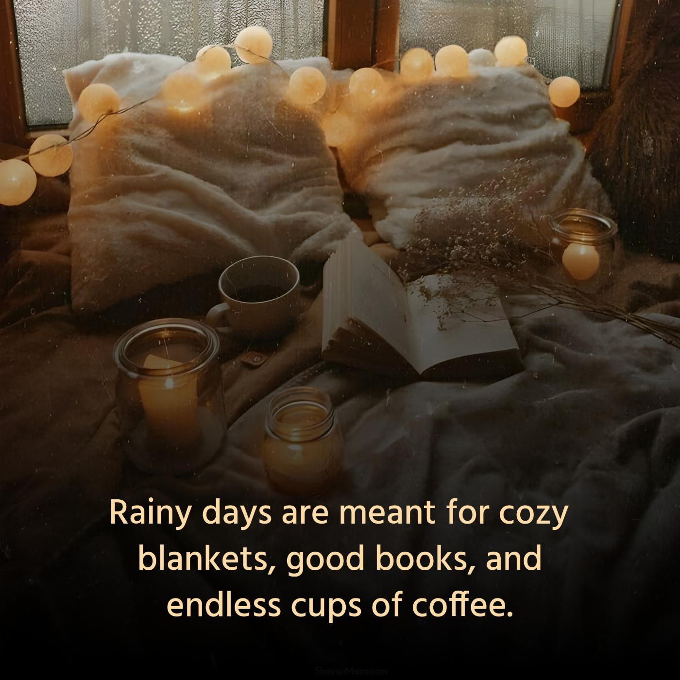 Rainy days are meant for cozy blankets good books