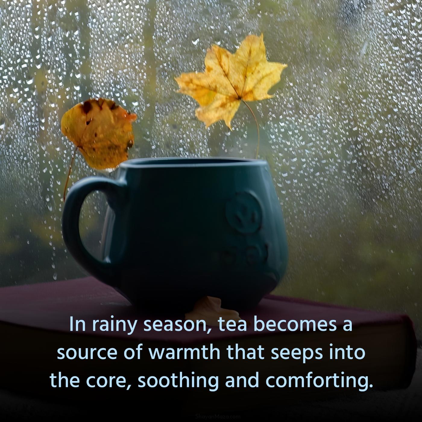 In rainy season tea becomes a source of warmth that seeps into