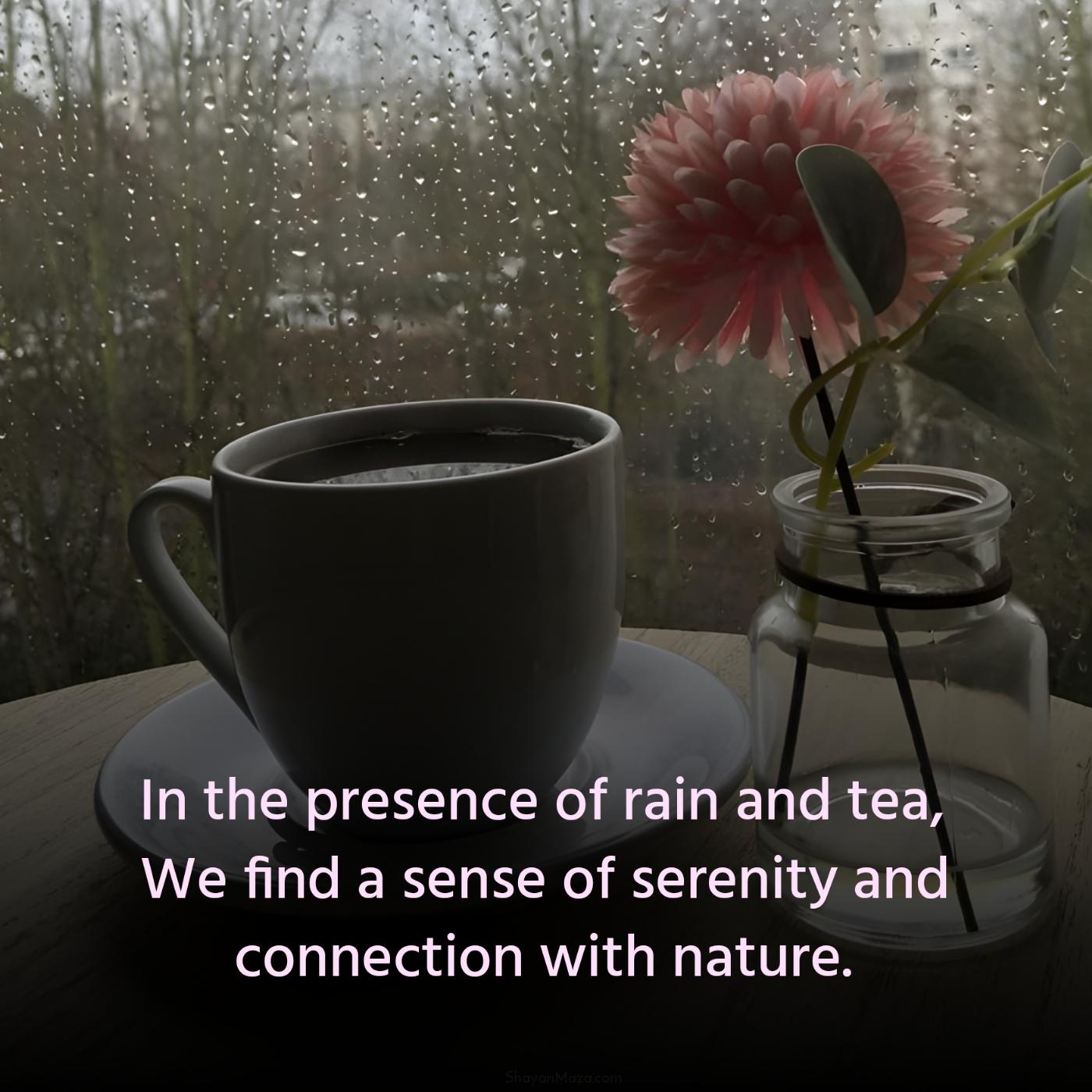 In the presence of rain and tea We find a sense of serenity