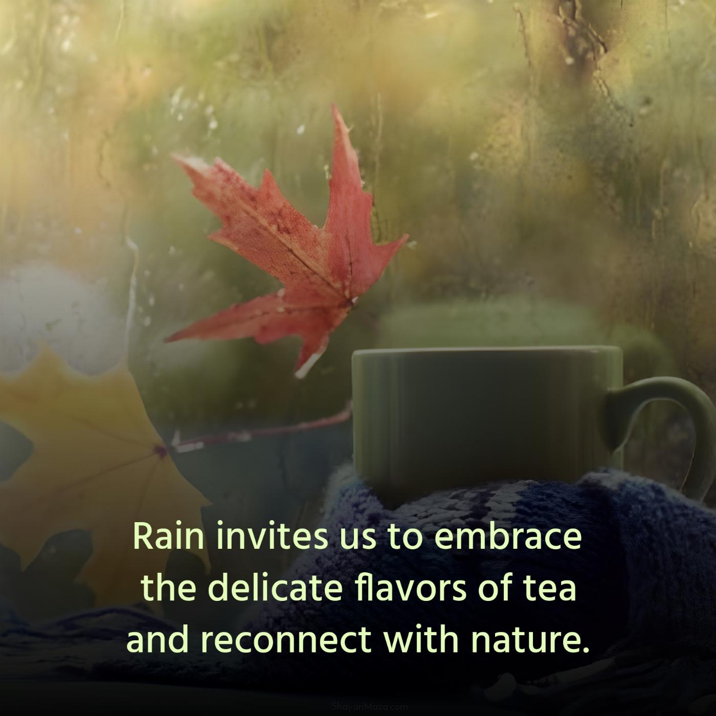 Rain invites us to embrace the delicate flavors of tea