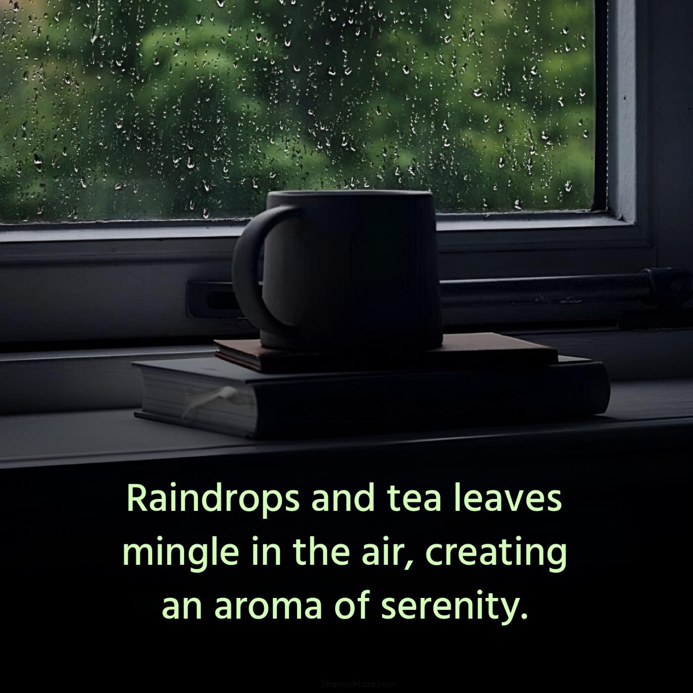 Raindrops and tea leaves mingle in the air