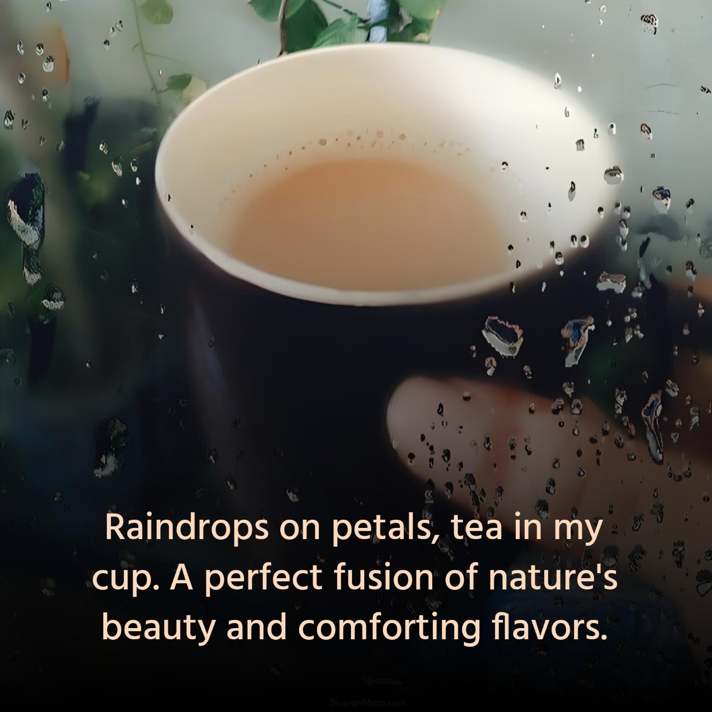 Raindrops on petals tea in my cup