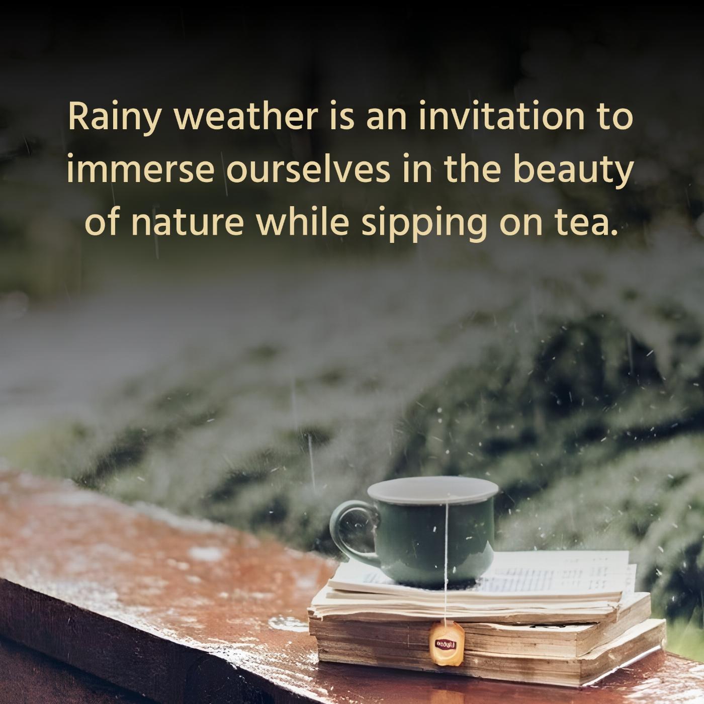 Rainy weather is an invitation to immerse ourselves in the beauty of nature