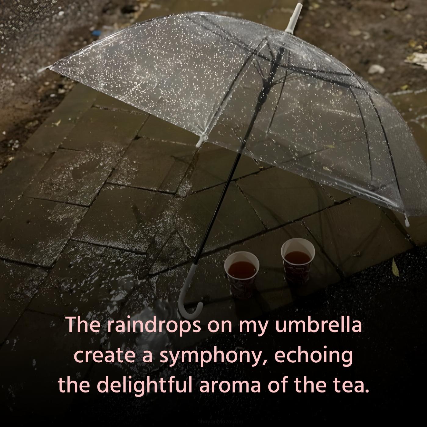 The raindrops on my umbrella create a symphony