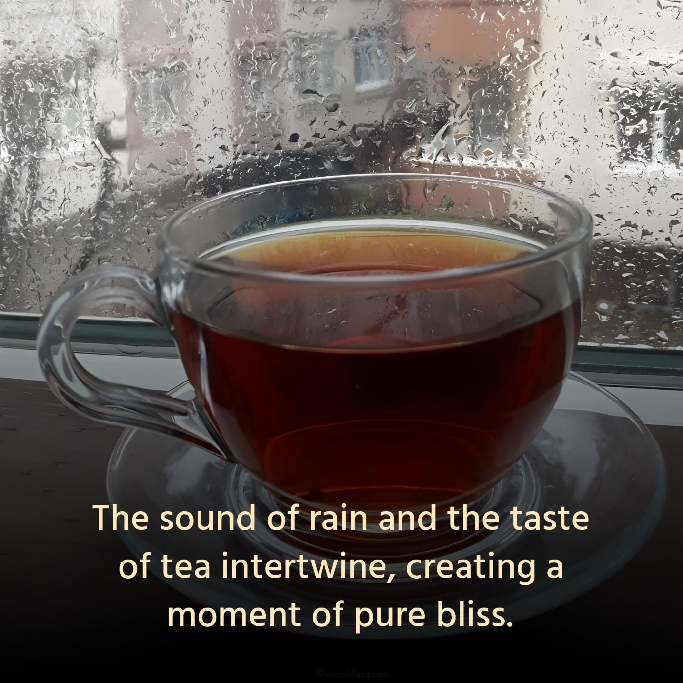 The sound of rain and the taste of tea intertwine