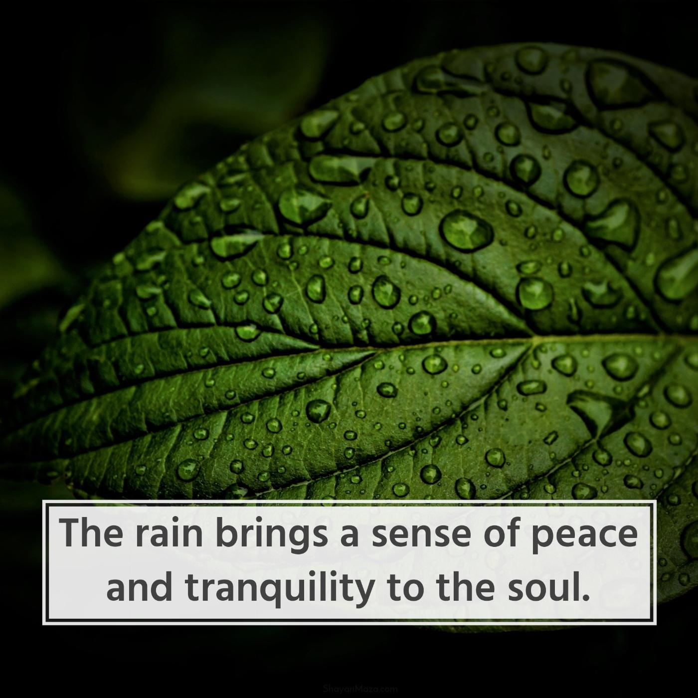 The rain brings a sense of peace and tranquility to the soul