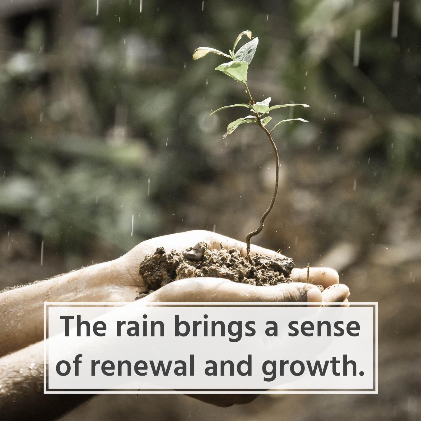 The rain brings a sense of renewal and growth