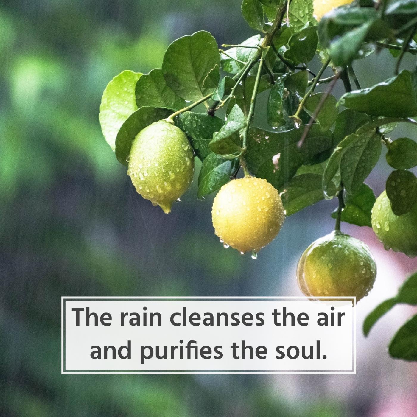 The rain cleanses the air and purifies the soul