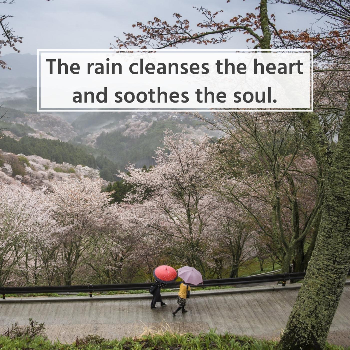The rain cleanses the heart and soothes the soul