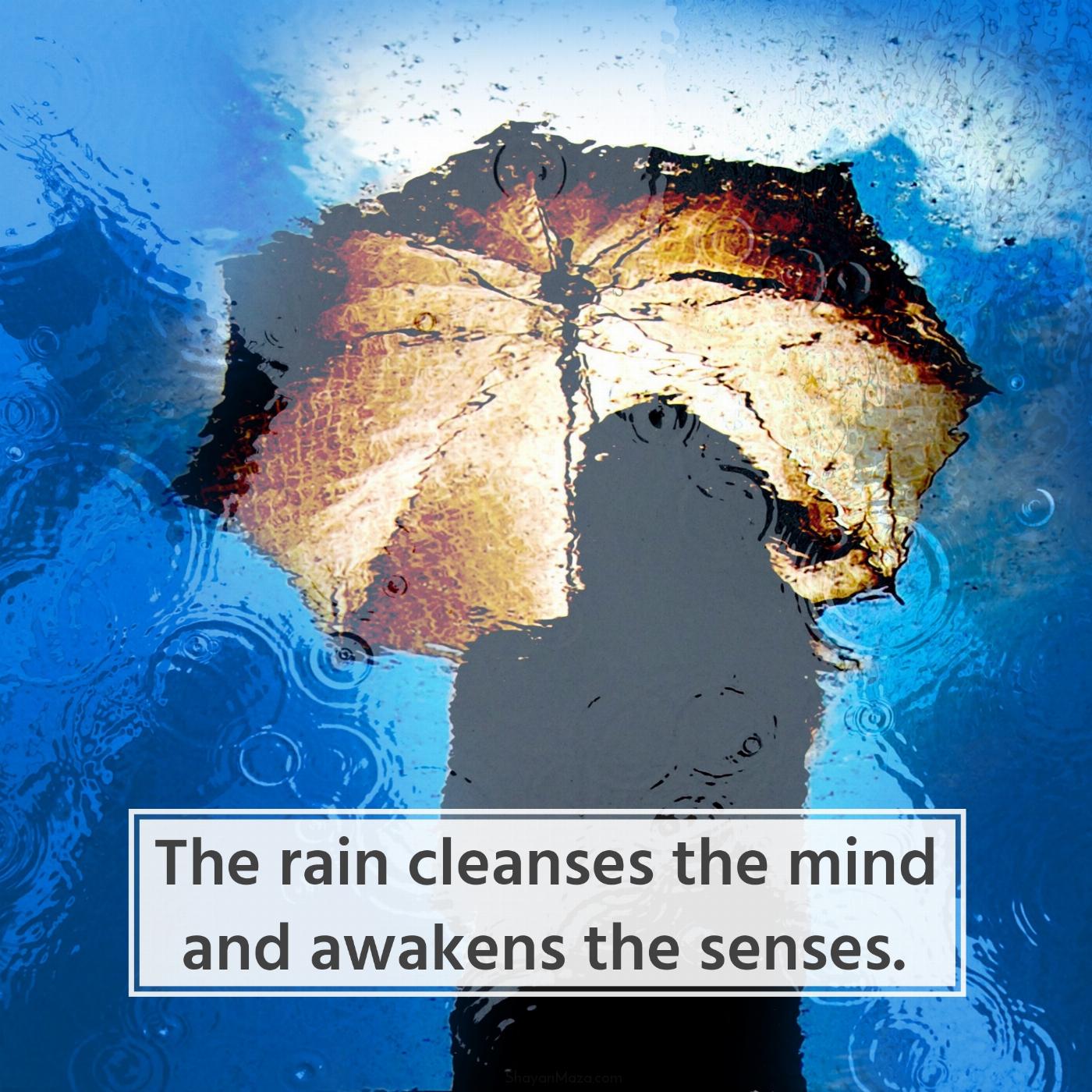 The rain cleanses the mind and awakens the senses