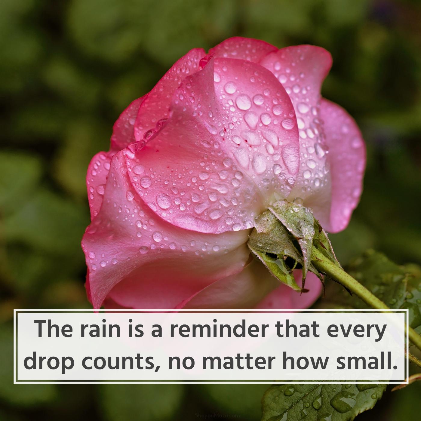 The rain is a reminder that every drop counts no matter how small