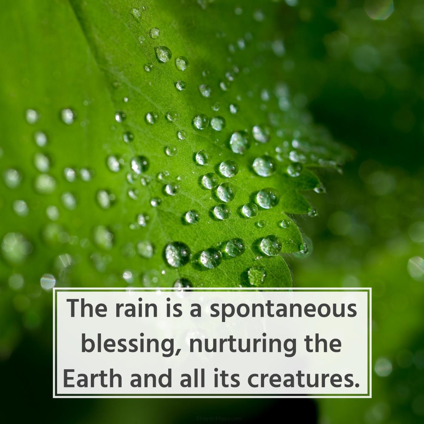 The rain is a spontaneous blessing nurturing the Earth and all its creatures