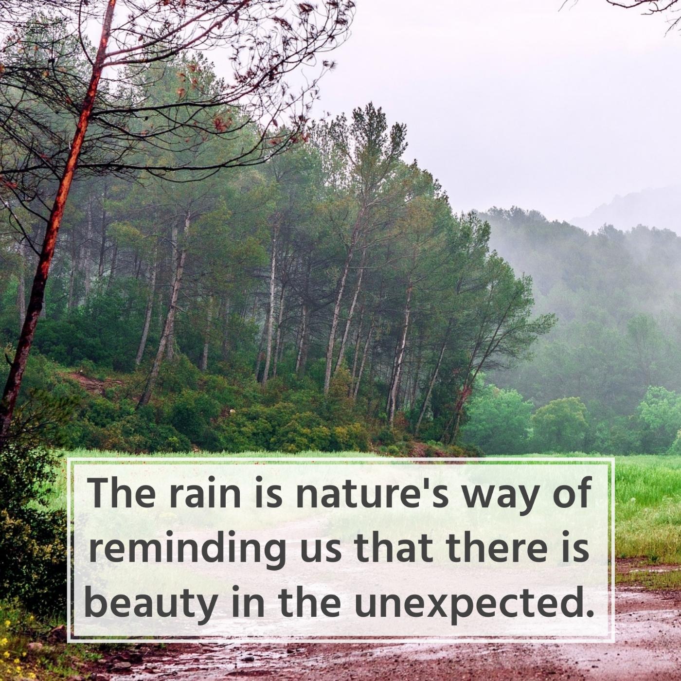 The rain is nature's way of reminding us that there is beauty in the unexpected