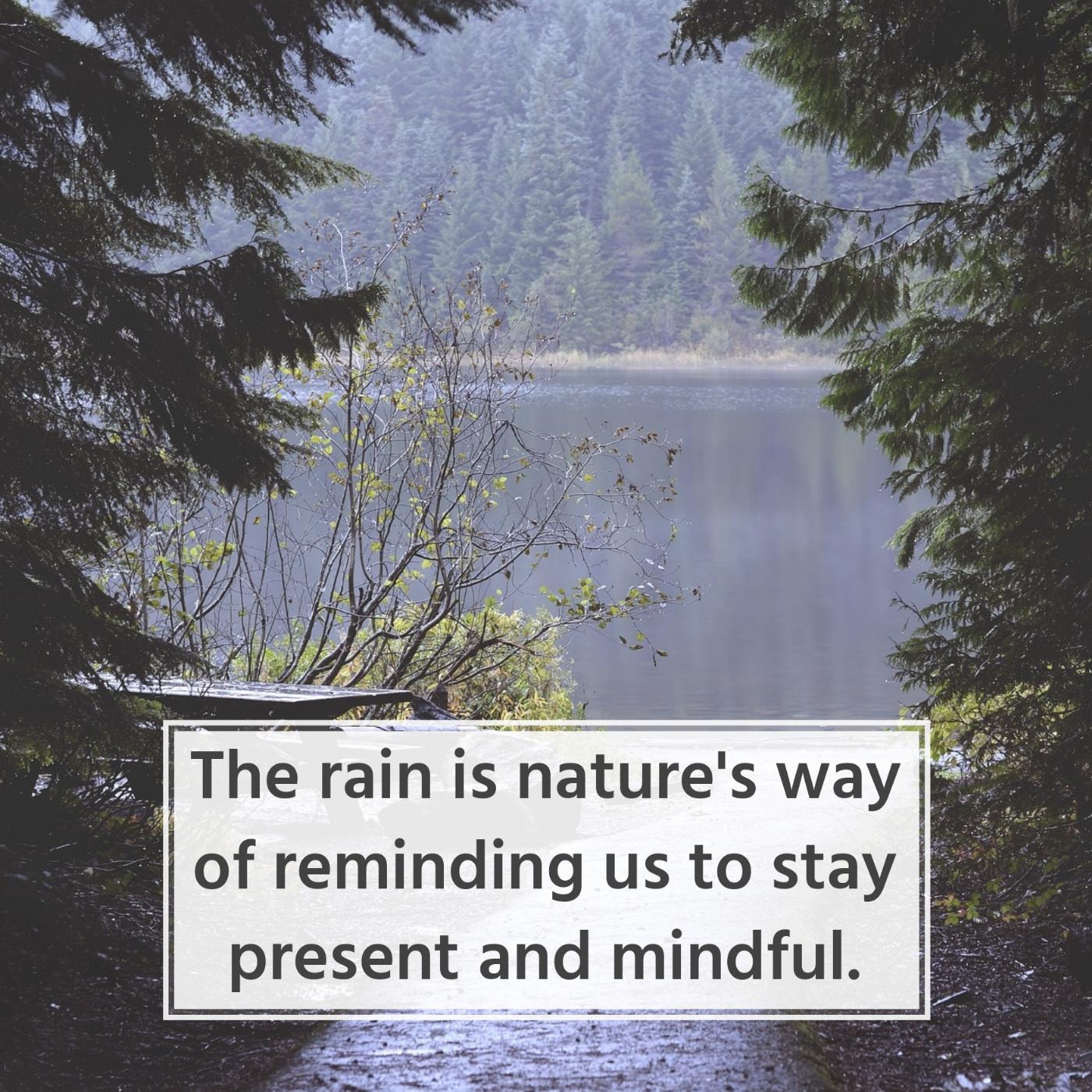 The rain is nature's way of reminding us to stay present and mindful
