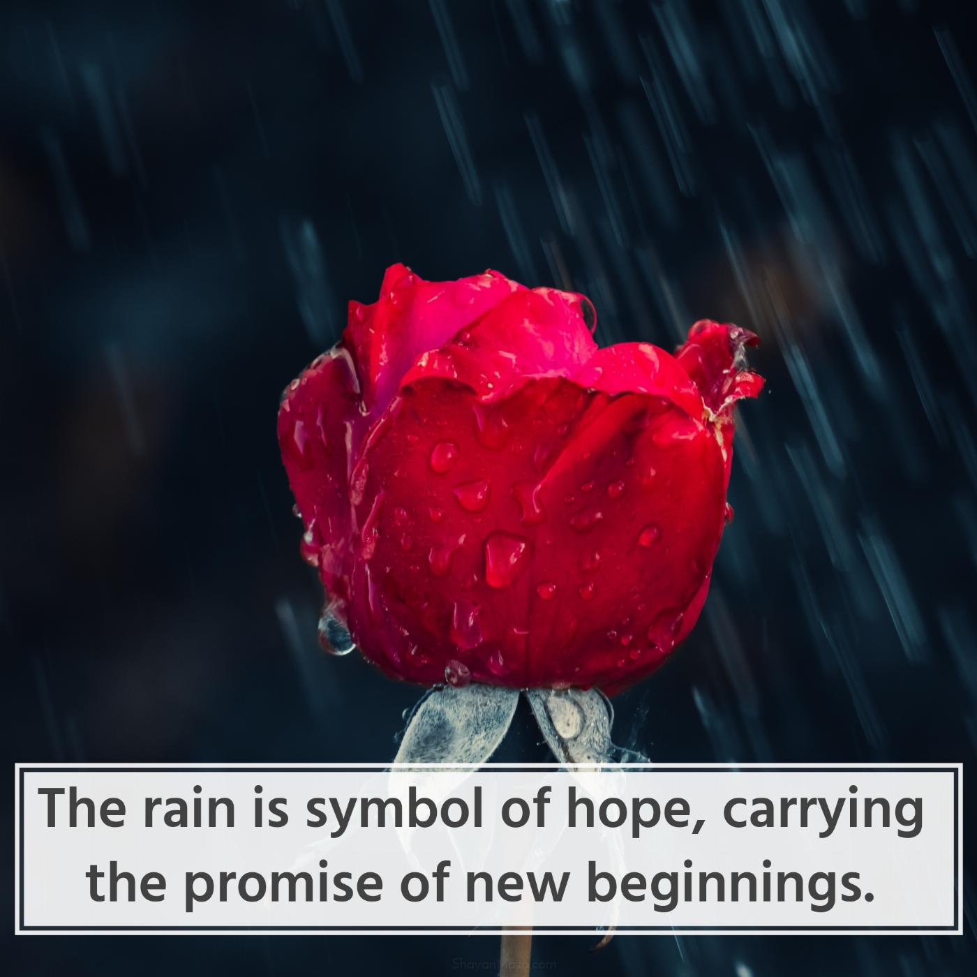 The rain is symbol of hope carrying the promise of new beginnings