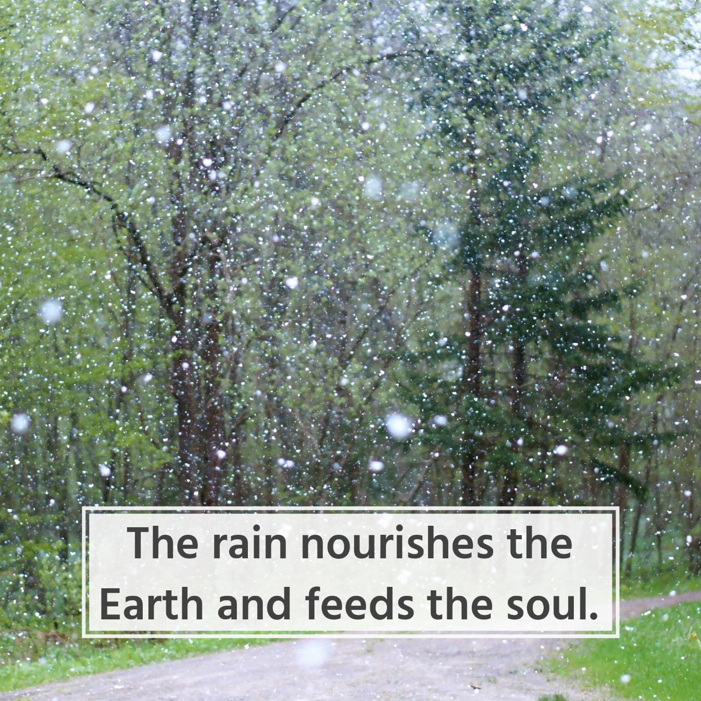 The rain nourishes the Earth and feeds the soul