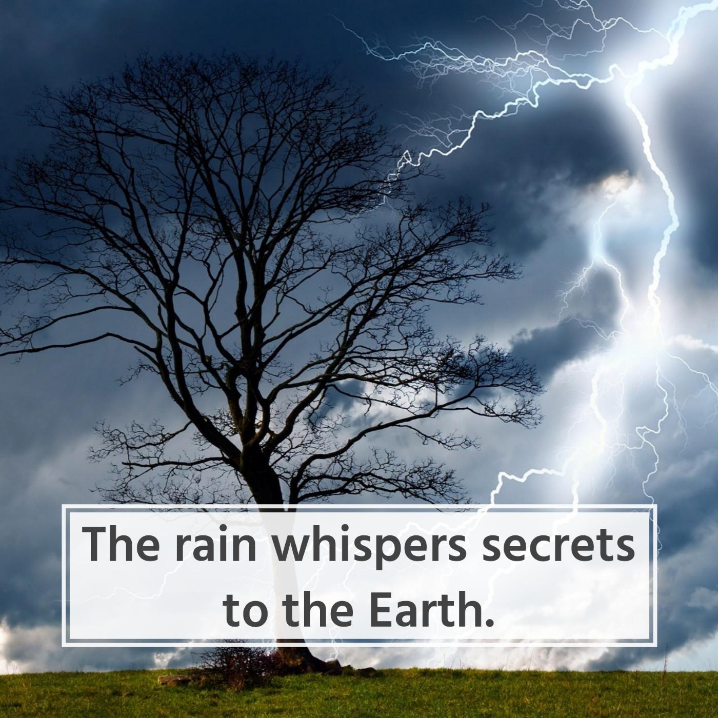 The rain whispers secrets to the Earth
