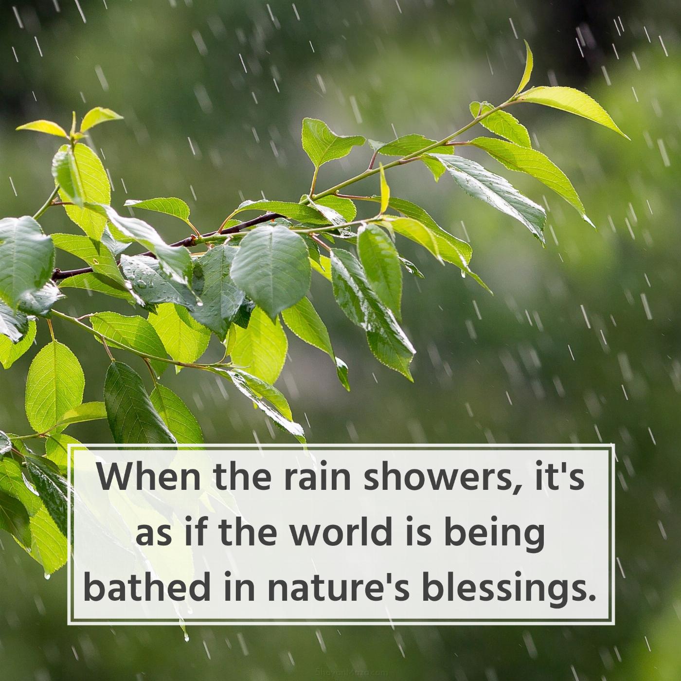 When the rain showers it's as if the world is being bathed