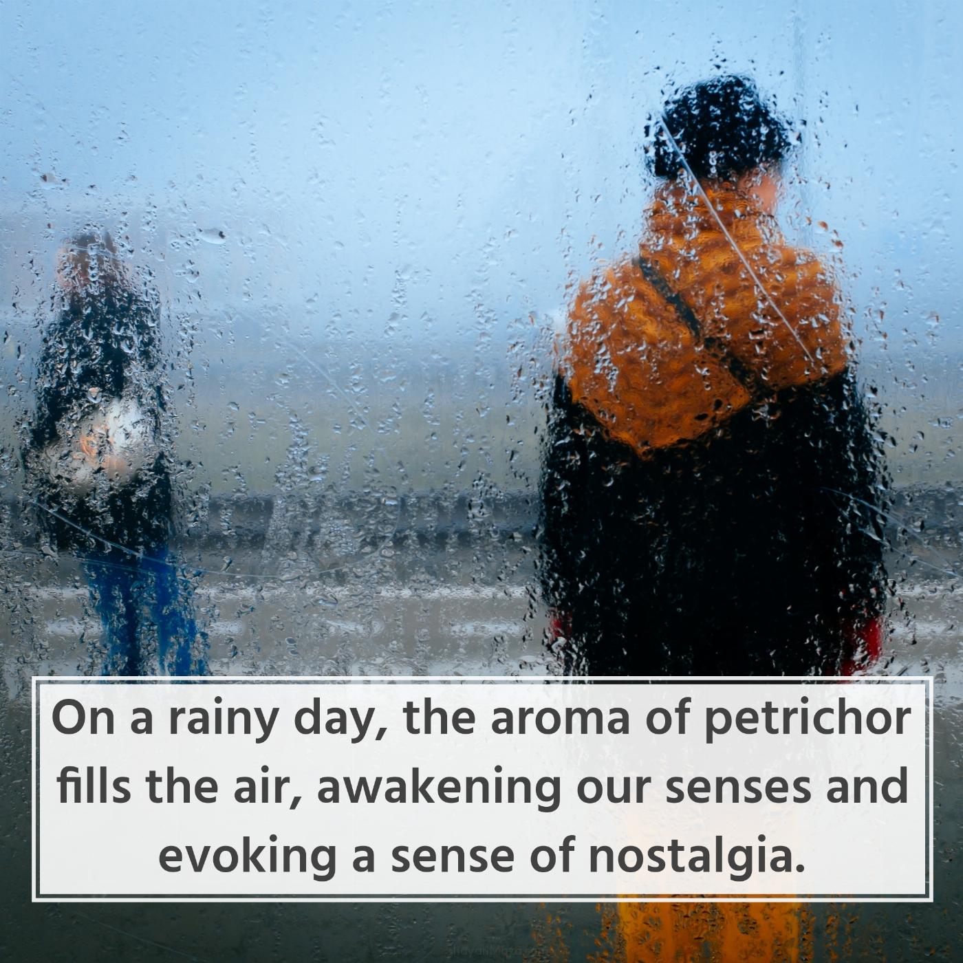 On a rainy day the aroma of petrichor fills the air
