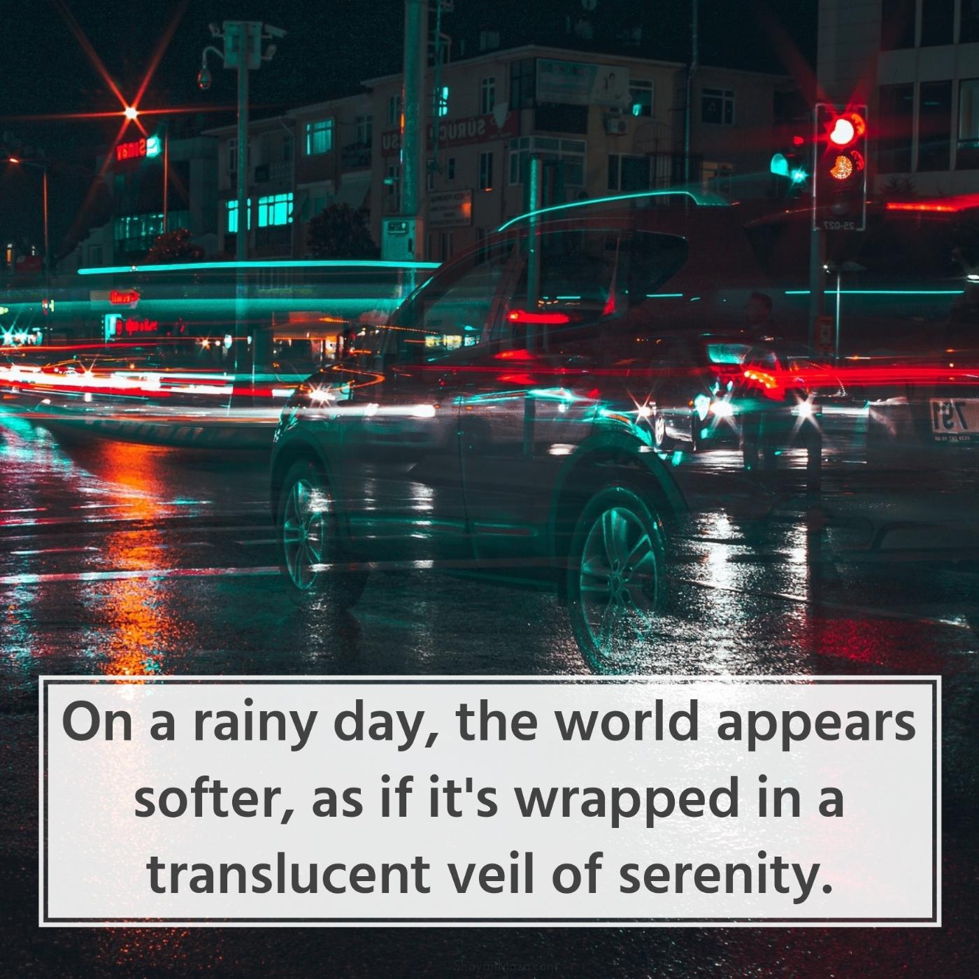 On a rainy day the world appears softer as if it's wrapped