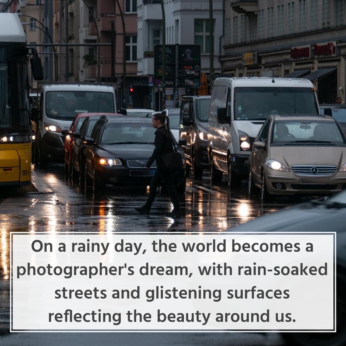 On a rainy day the world becomes a photographer's dream