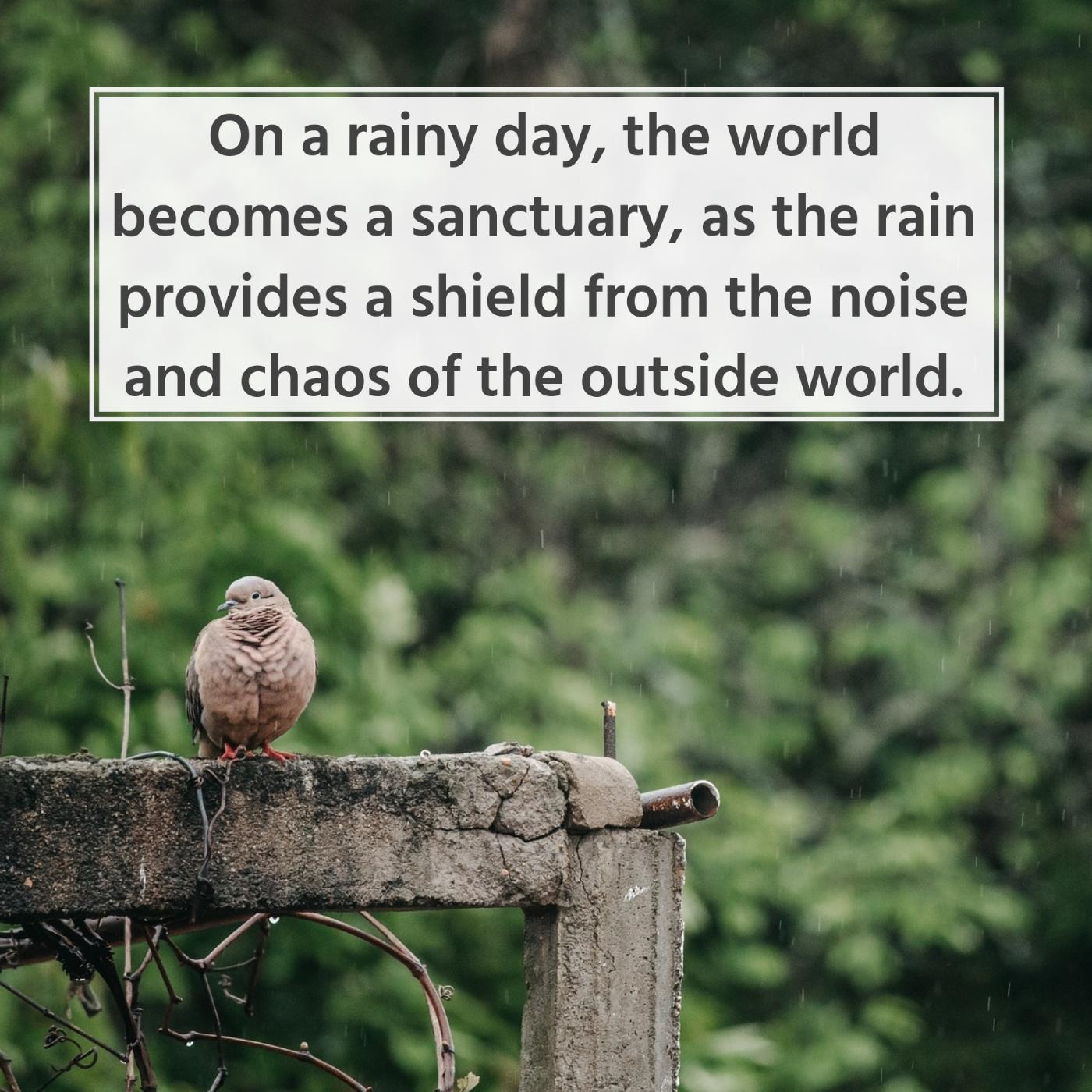 On a rainy day the world becomes a sanctuary