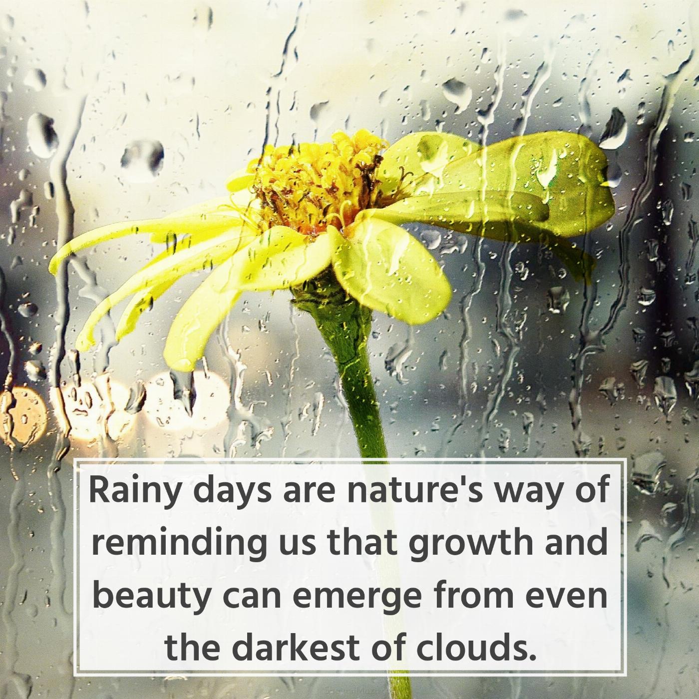 Rainy days are nature's way of reminding us that growth and beauty