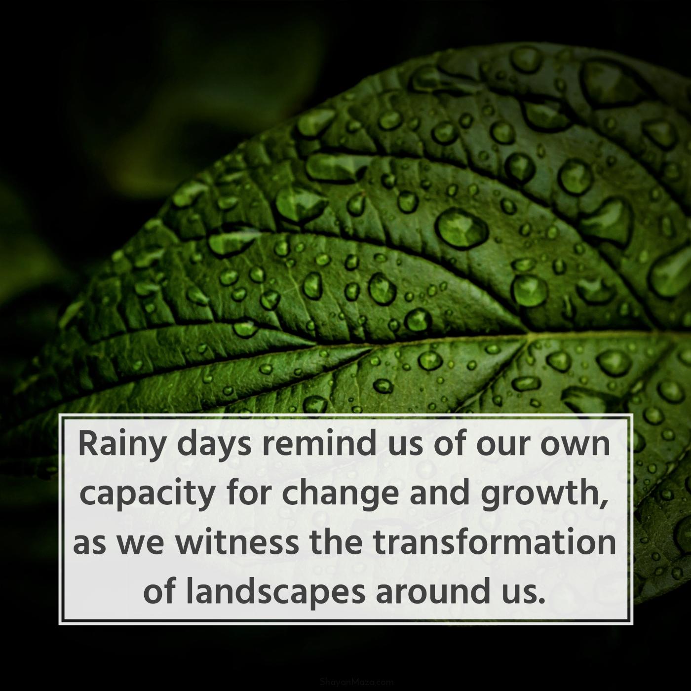 Rainy days remind us of our own capacity for change and growth