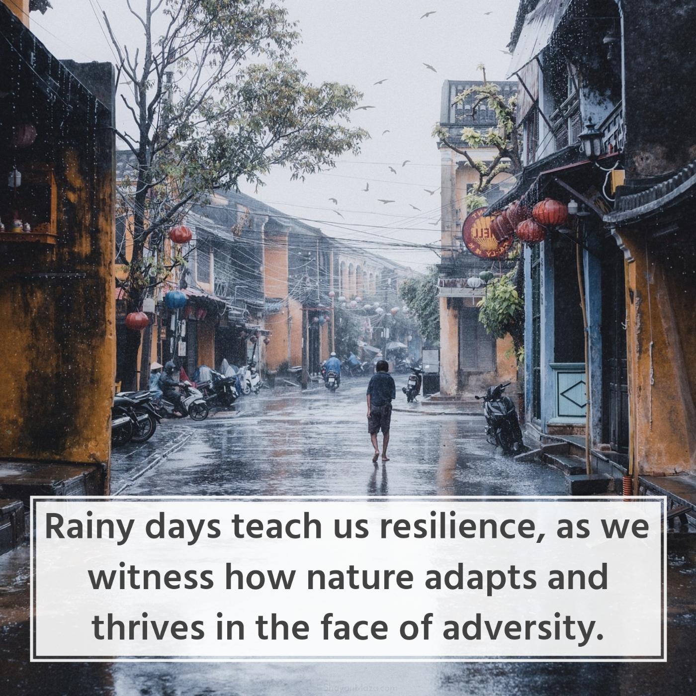 Rainy days teach us resilience as we witness how nature adapts
