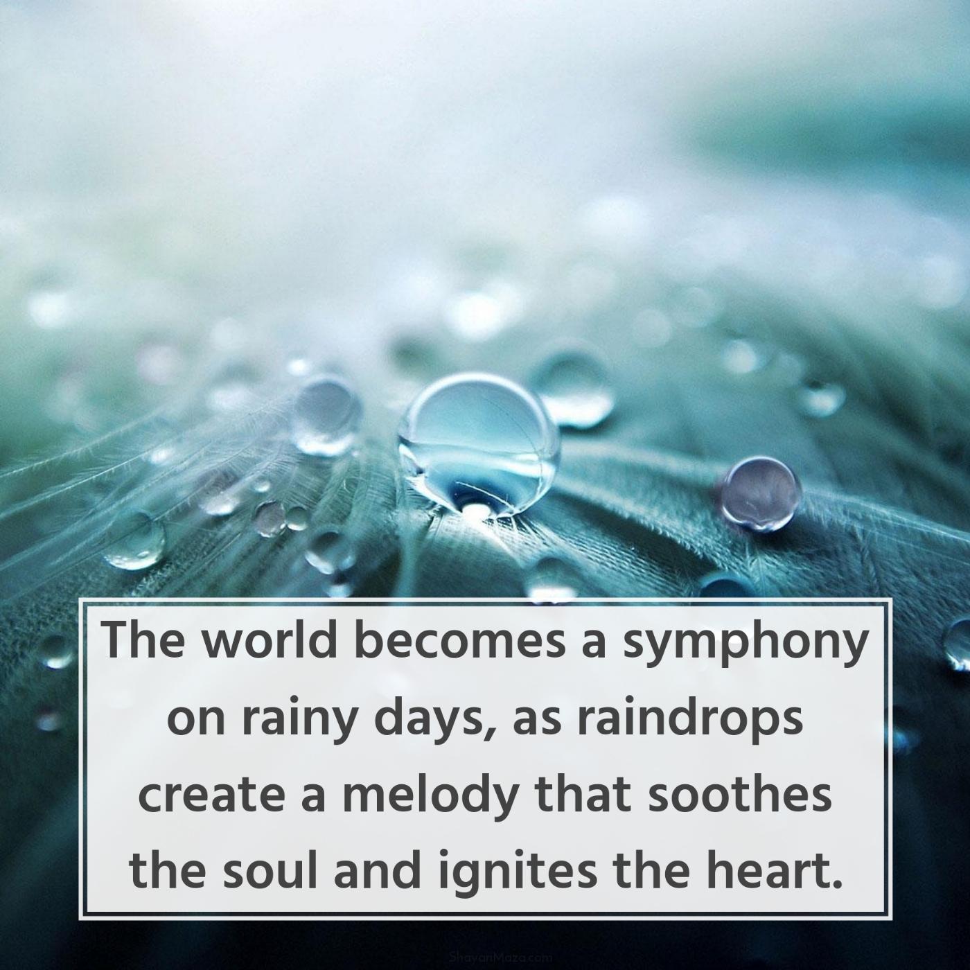 The world becomes a symphony on rainy days
